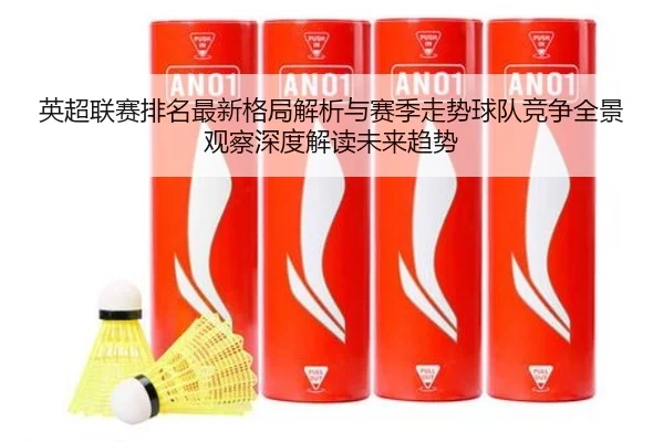 英超联赛排名最新格局解析与赛季走势球队竞争全景观察深度解读未来趋势